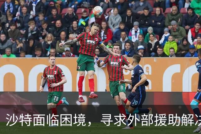 沙特面临困境，寻求外部援助解决危机